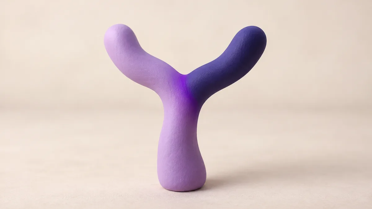 A clay path splitting into two short branches, one lavender and one indigo — a two-option question is quick to answer